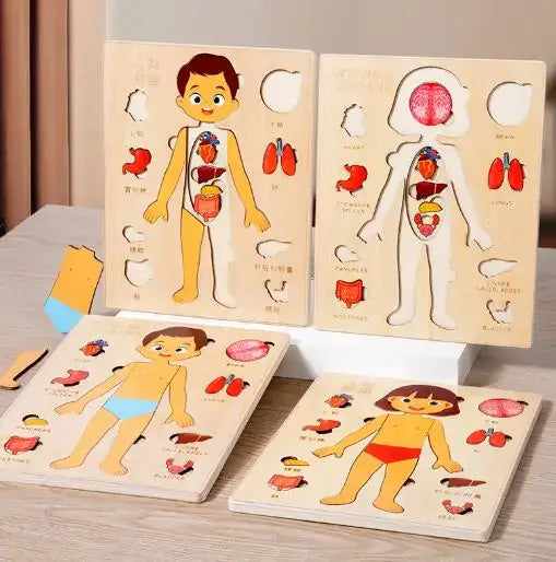 Set of educational wooden puzzles showing human body parts on a wooden surface.