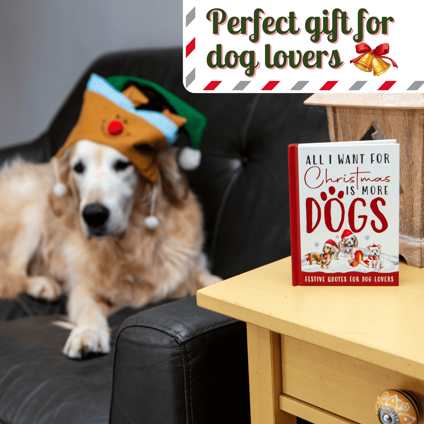 Dog wearing a festive hat with a book titled 'All I Want for Christmas is More Dogs' on a table.
