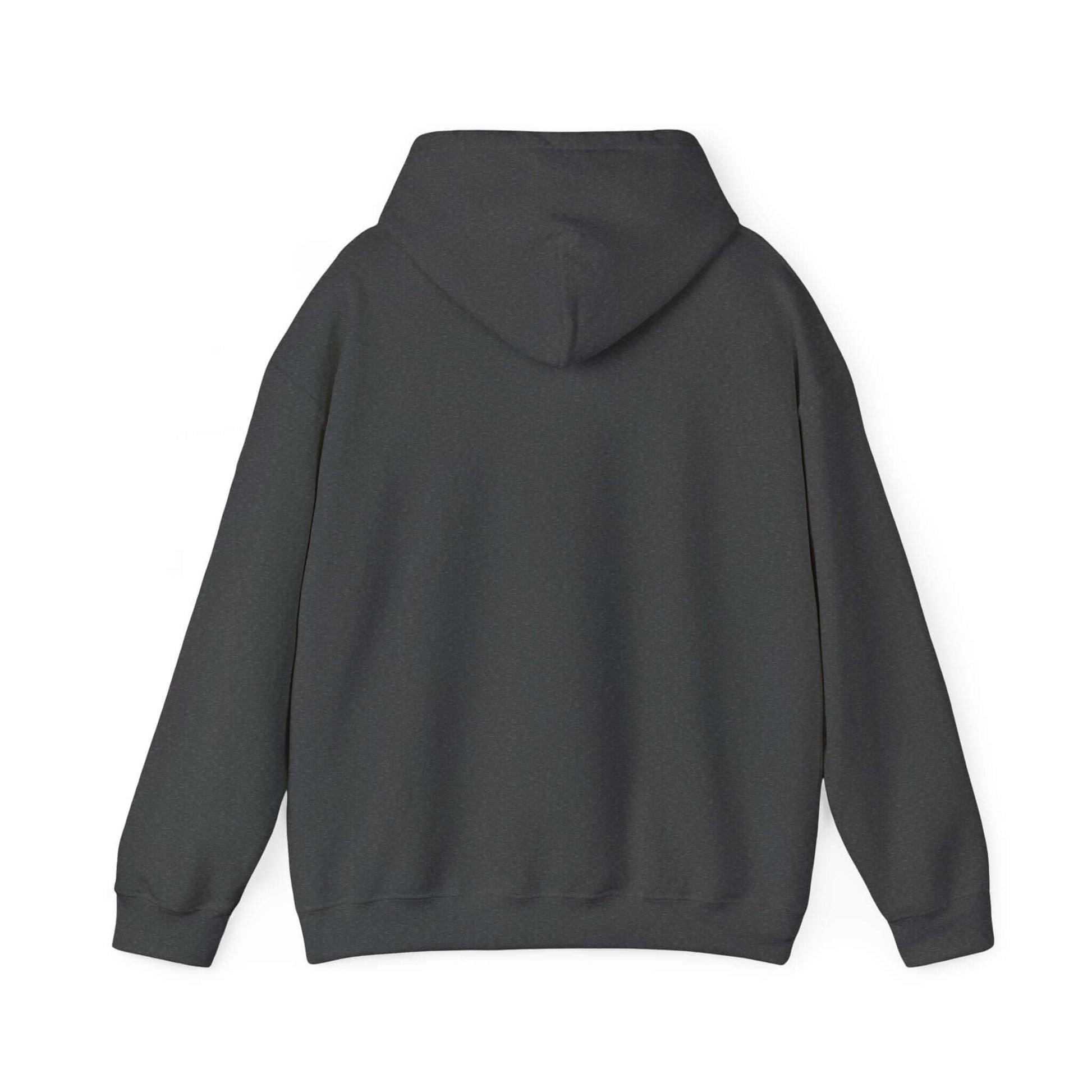 Dark gray hoodie on a white background