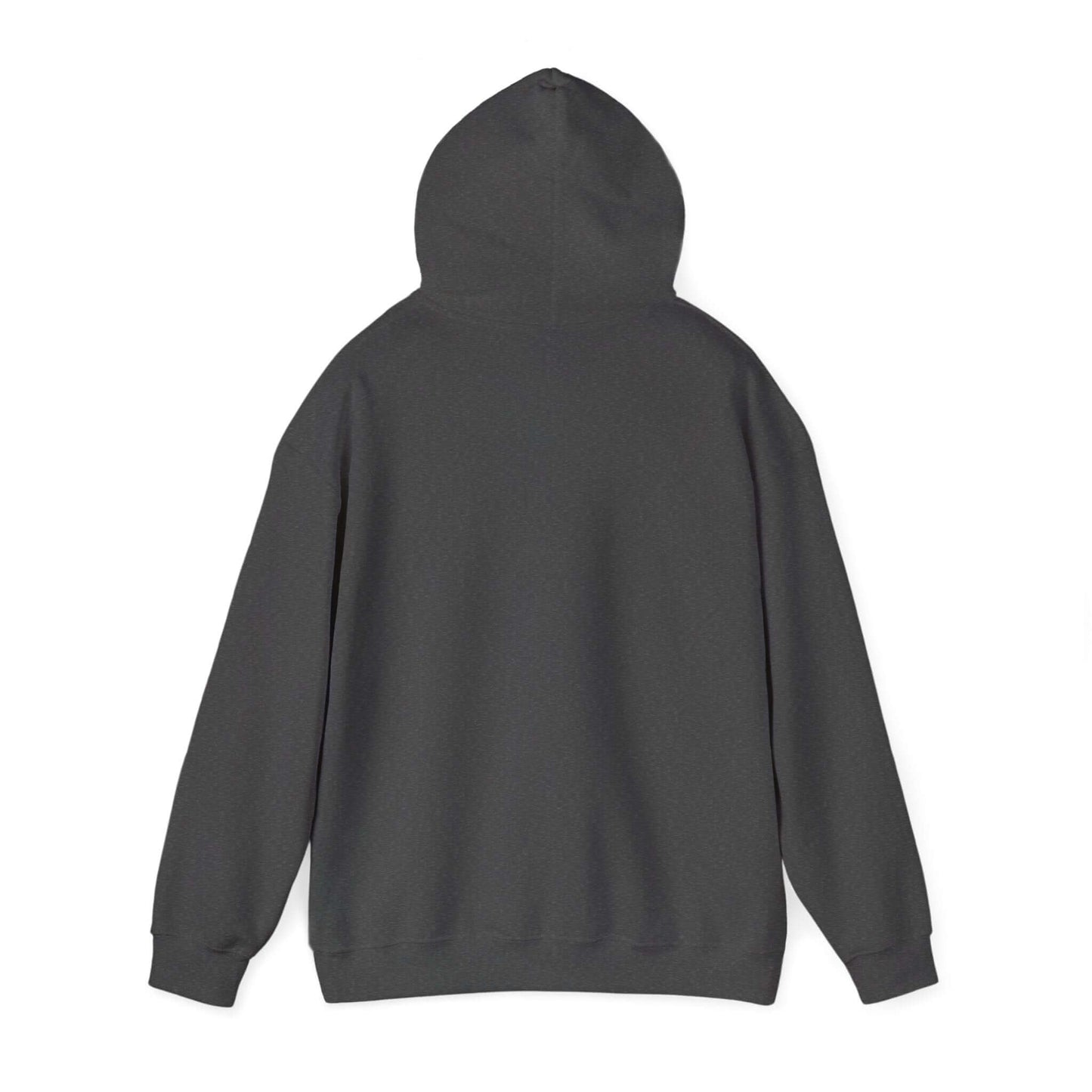 Dark gray hoodie on a white background