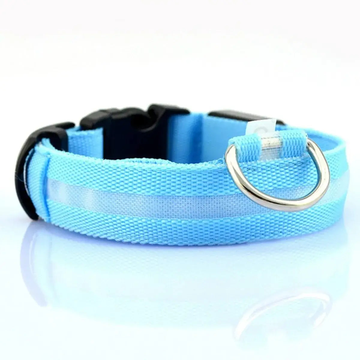Light blue dog collar with a metallic ring on a white background
