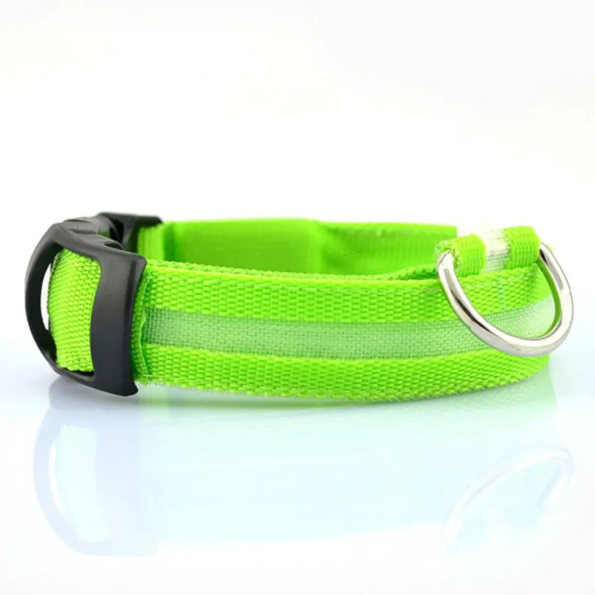 Green dog collar with a silver D-ring on a white background