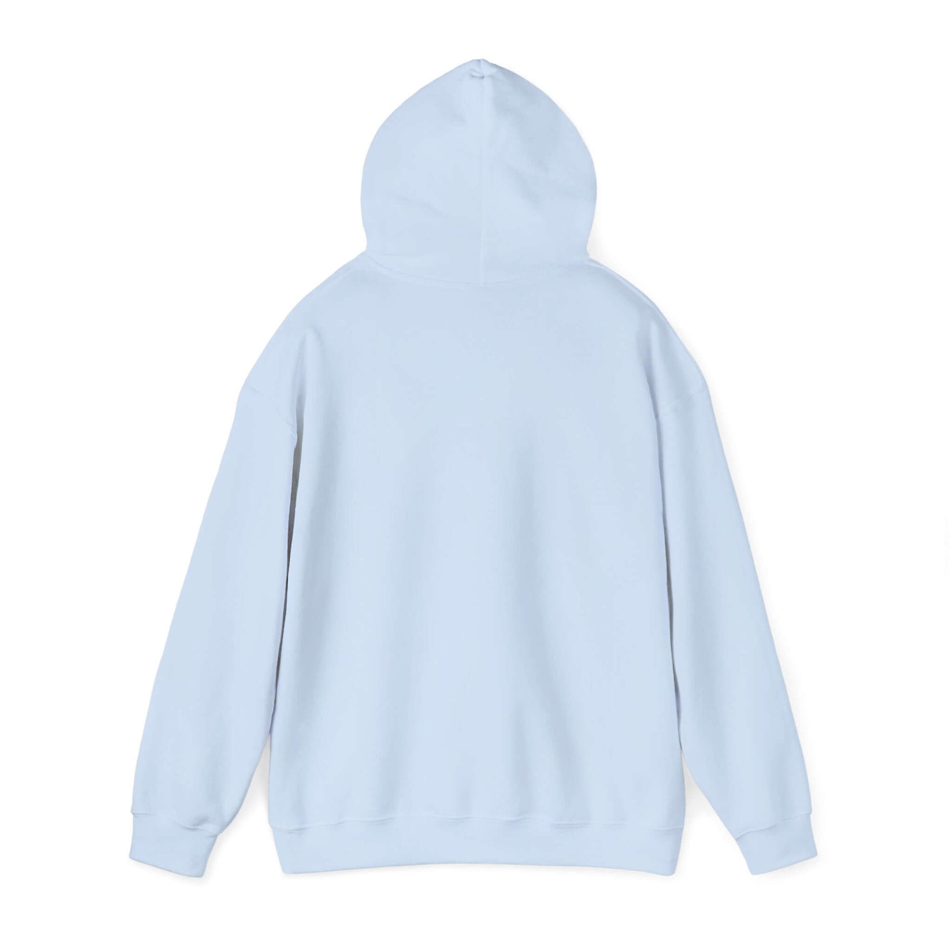 Light blue hoodie on a white background