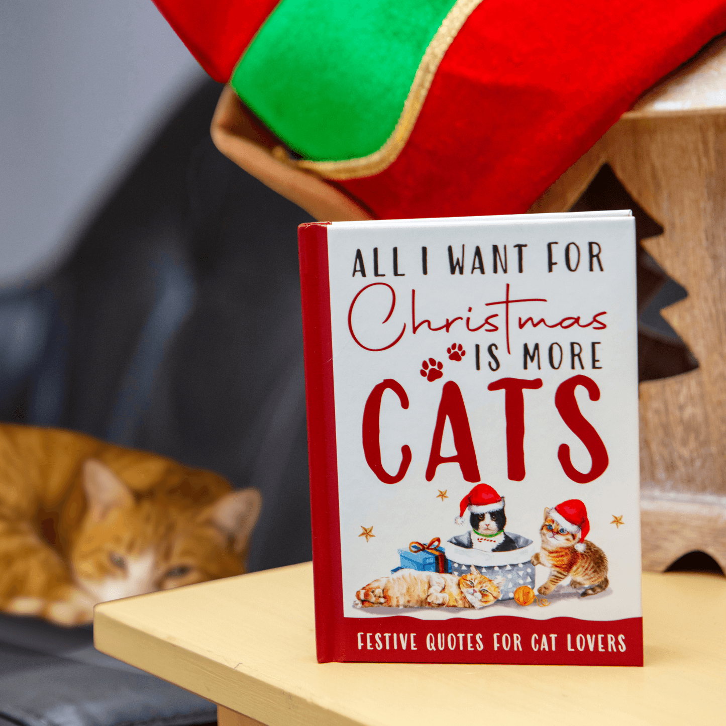 Book titled 'All I Want for Christmas is More Cats' with a cat on a table