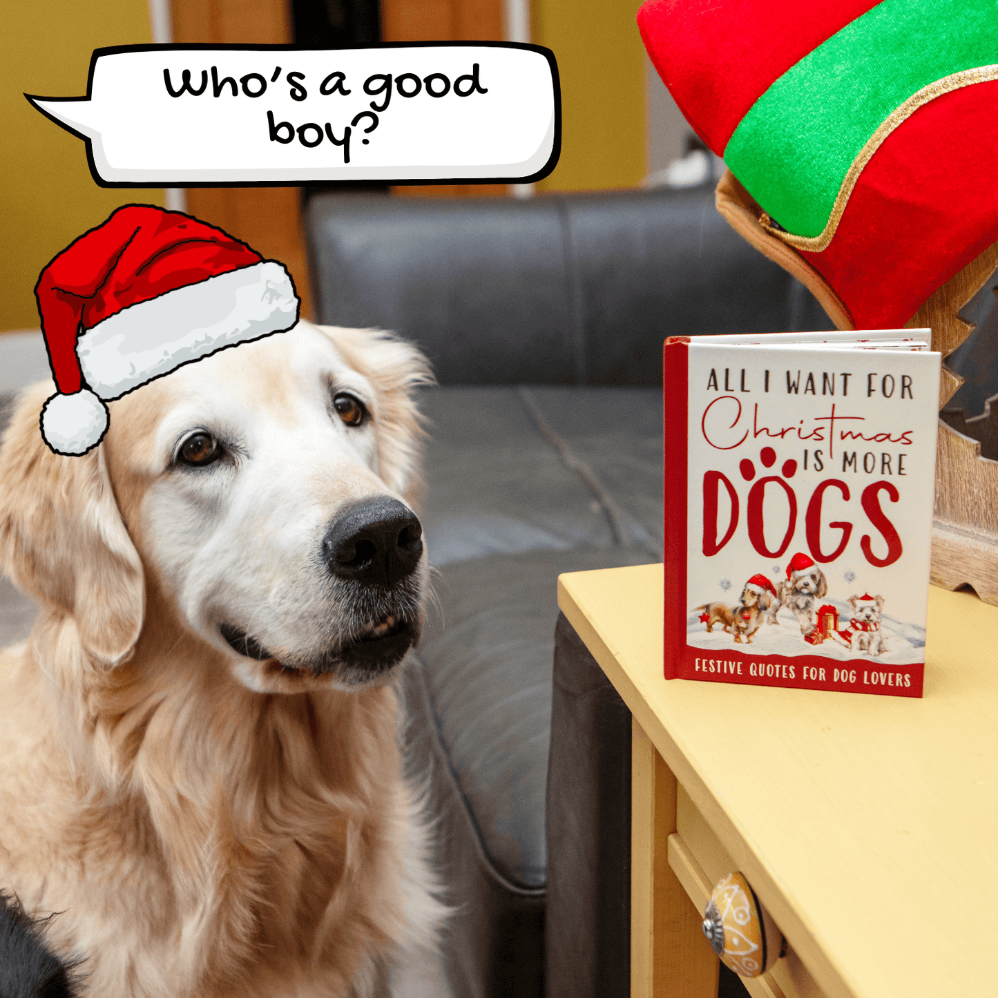 Dog wearing a Santa hat with a book titled 'All I Want for Christmas is More Dogs' on a table.