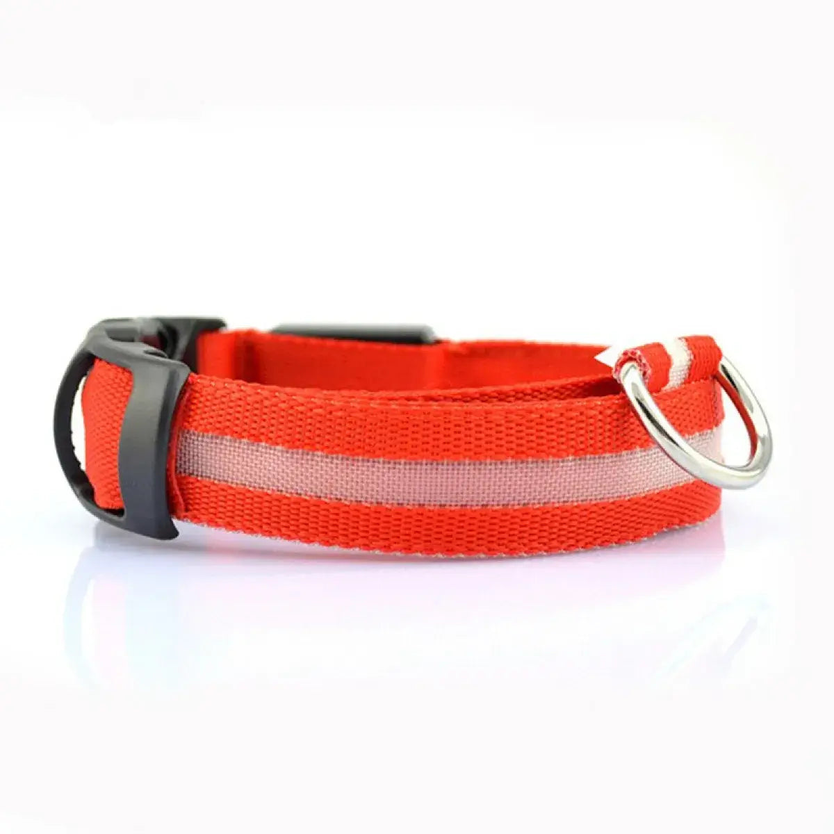 Red dog collar with a metal buckle on a white background