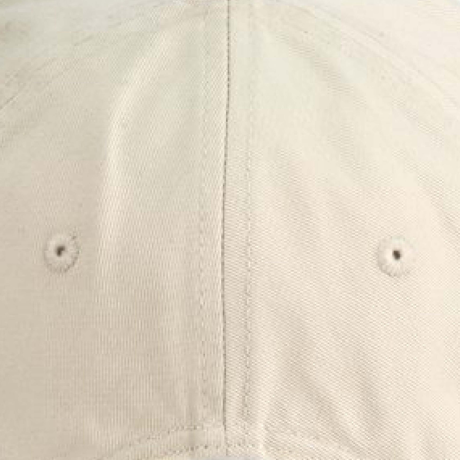 Oyster/ Jungle - BACK