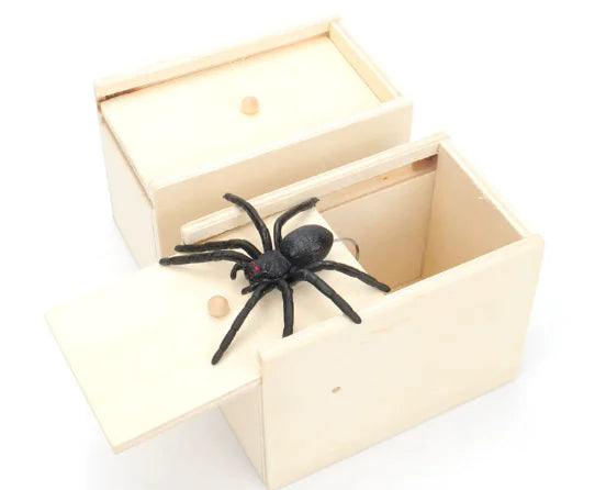 Wooden box with a spider toy inside on a white background